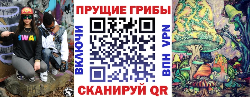 цены Тейково Псилоцибиновые грибы Magic Shrooms