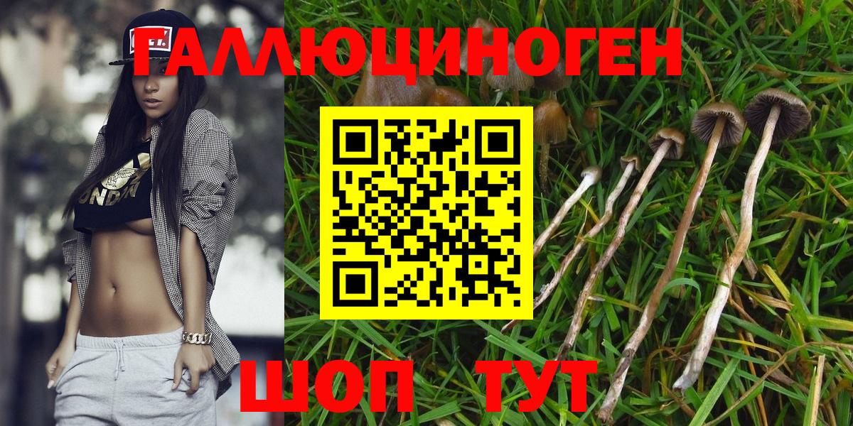 Псилоцибиновые грибы ЛСД  Вход с VPN  Тейково 