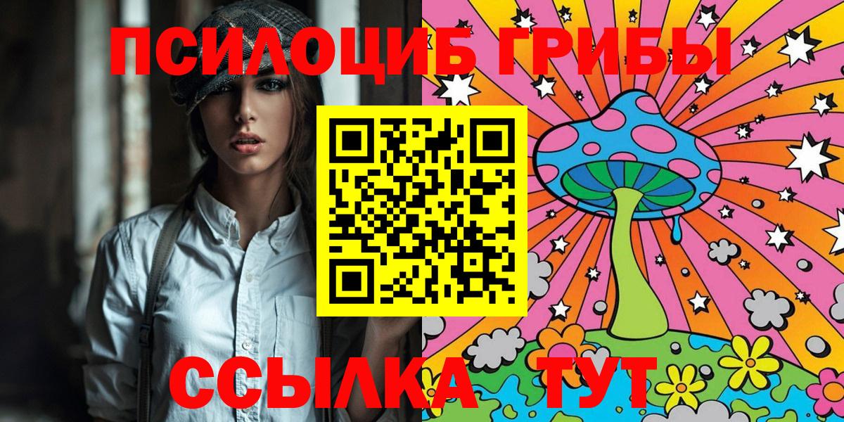 Псилоцибиновые грибы Тейково